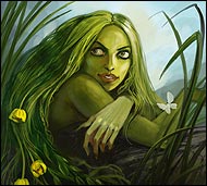 Кикимора Фуррация Кикимора Фуррация